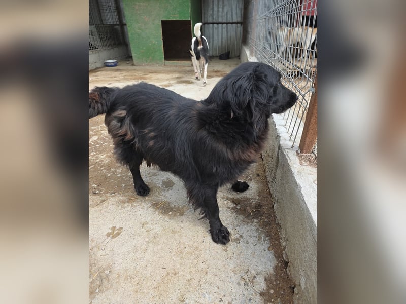 Fetizia  - sooo freundlich