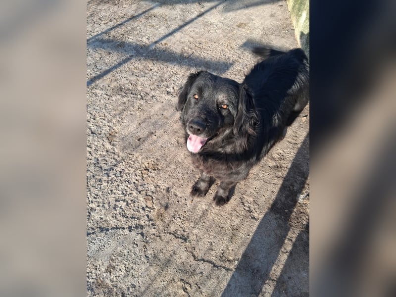 Fetizia - liebt Wasser