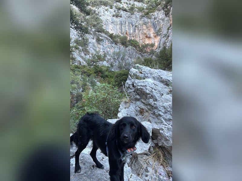 Vincent: einfach nur Klasse