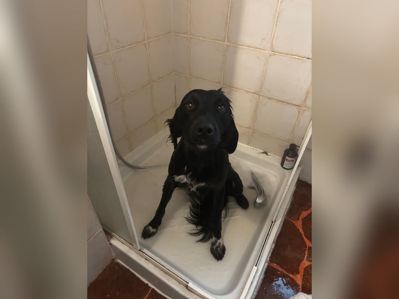 Vincent: einfach nur Klasse