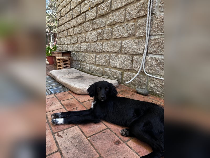 Vincent: einfach nur Klasse