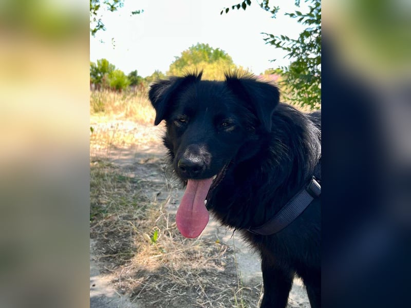 Blinder Finn sucht Menschen mit Herz