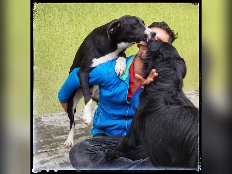 Batman - lieb, fröhlich und agil - sucht seine Menschen