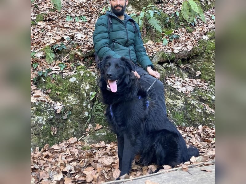 Jupi sucht seine Familie