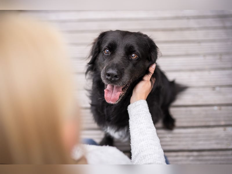 Foto & Video für liebende Tierbesitzer & Züchter