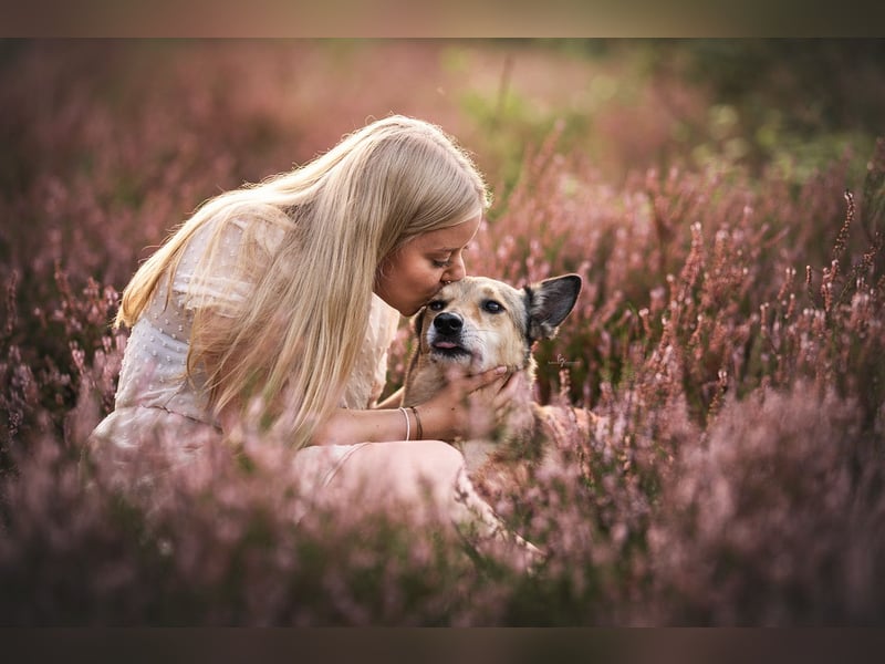 Foto & Video für liebende Tierbesitzer & Züchter