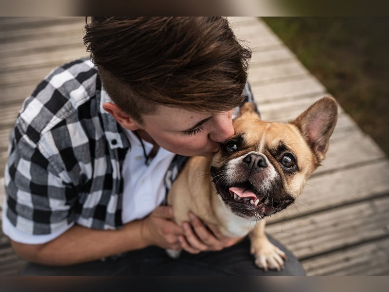 Foto & Video für liebende Tierbesitzer & Züchter