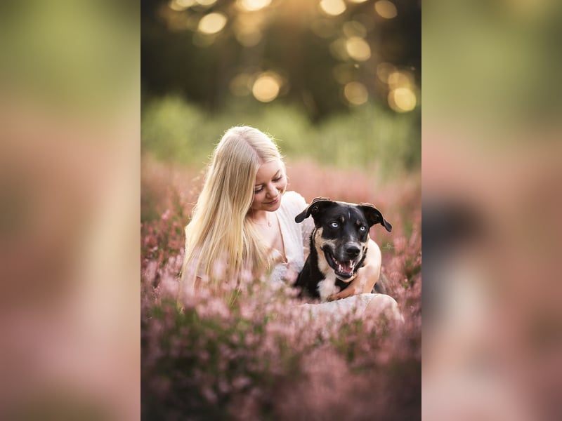Foto & Video für liebende Tierbesitzer & Züchter