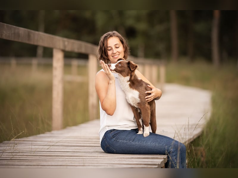 Foto & Video für liebende Tierbesitzer & Züchter