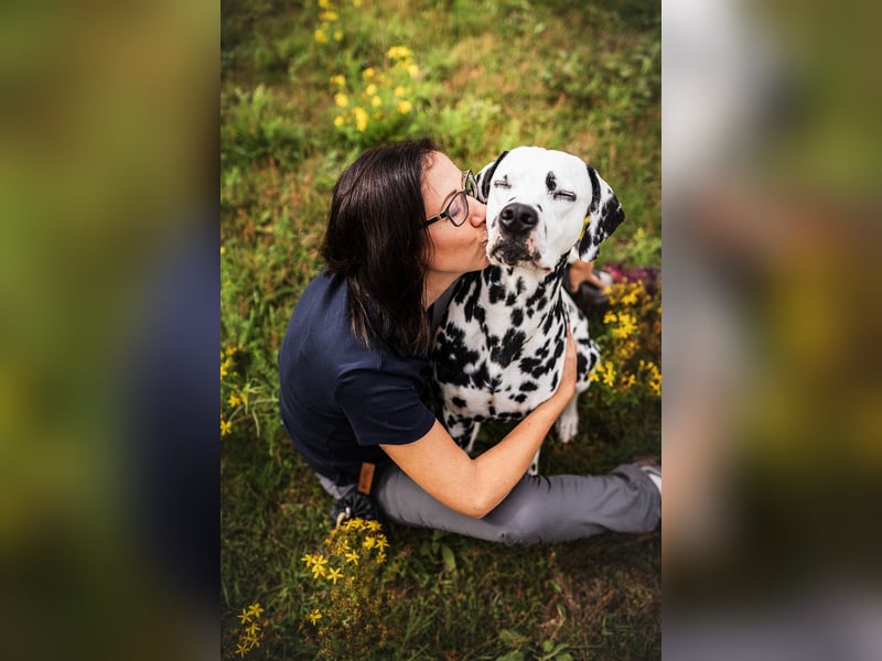 Foto & Video für liebende Tierbesitzer & Züchter