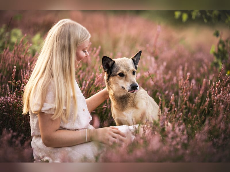 Foto & Video für liebende Tierbesitzer & Züchter