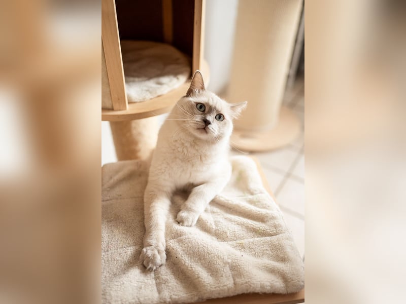 Foto & Video für liebende Tierbesitzer & Züchter