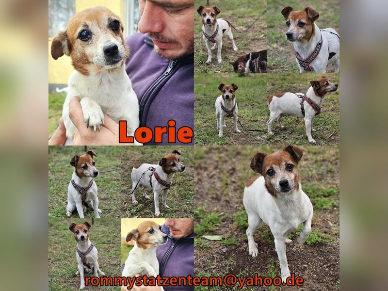 Lorie hat ein entspanntes Wesen