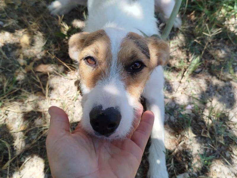❤️ PINA ❤️