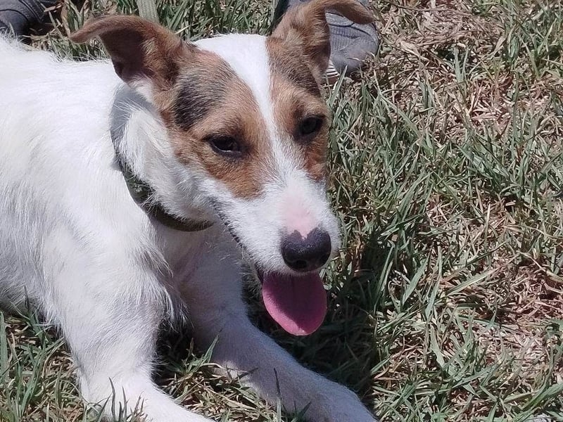 ❤️ PINA ❤️