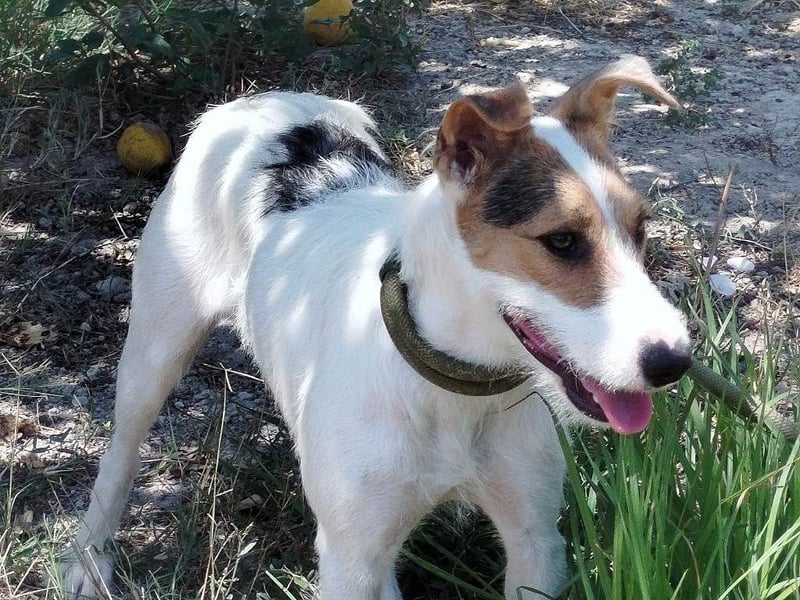 ❤️ PINA ❤️
