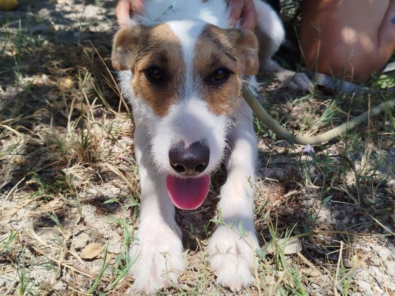 ❤️ PINA ❤️