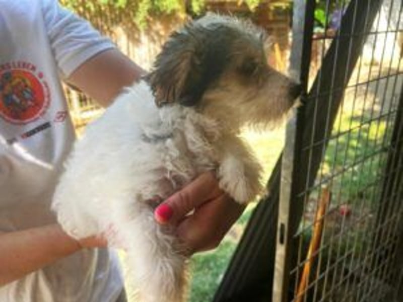 Update Shirley: reserviert