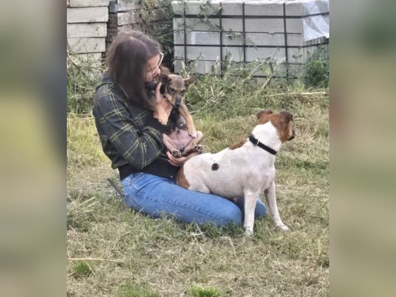 Dodi, kleiner Süssling sucht…..