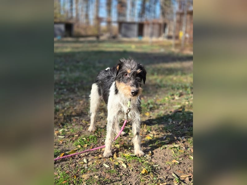 Arda BE – auf der Suche nach dem großen Glück