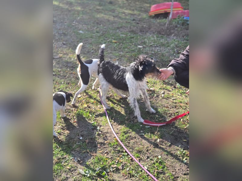 Arda BE – auf der Suche nach dem großen Glück