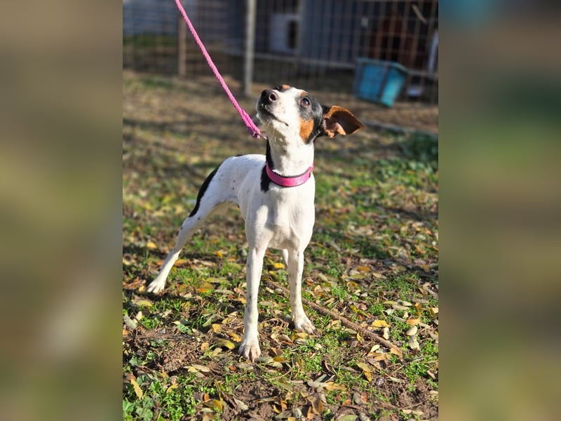 Bora BE – will ihre Vergangenheit hinter sich lassen und in die Zukunft starten