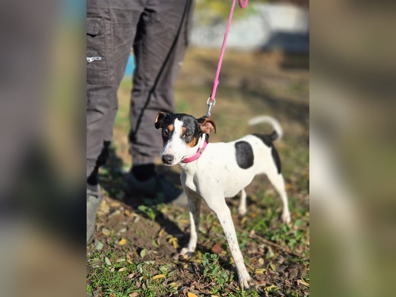 Bora BE – will ihre Vergangenheit hinter sich lassen und in die Zukunft starten