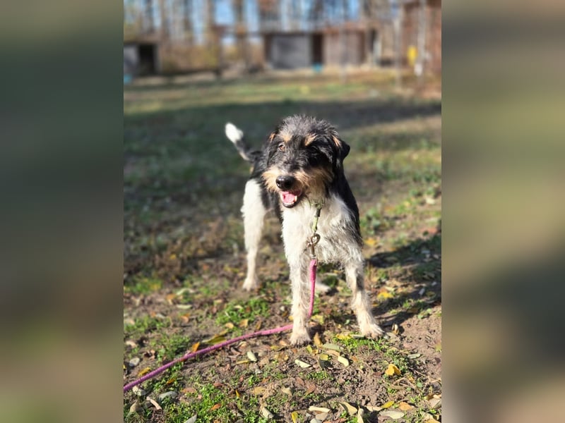 Arda BE – auf der Suche nach dem großen Glück