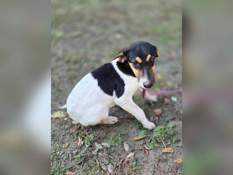 Runa, geboren 01.03.2025, 30cm sucht ihr Glück