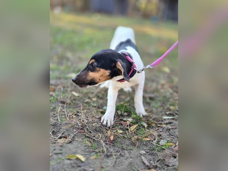 Runa, geboren 01.03.2025, 30cm sucht ihr Glück