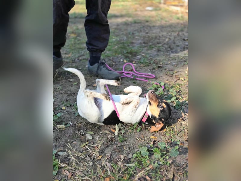 Runa, geboren 01.03.2025, 30cm sucht ihr Glück
