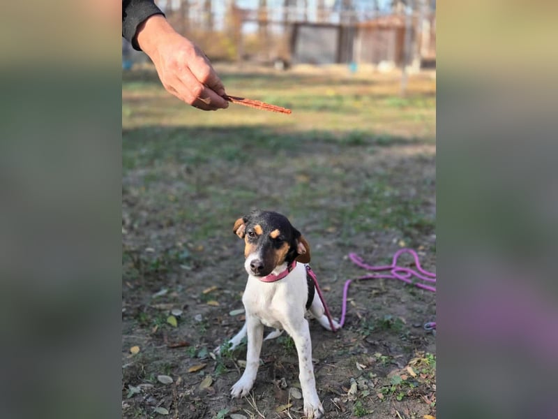 Runa, geboren 01.03.2025, 30cm sucht ihr Glück