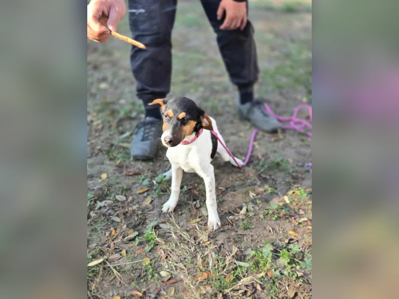 Runa, geboren 01.03.2025, 30cm sucht ihr Glück