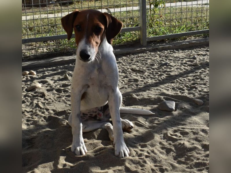 Timothy sucht sein Glück