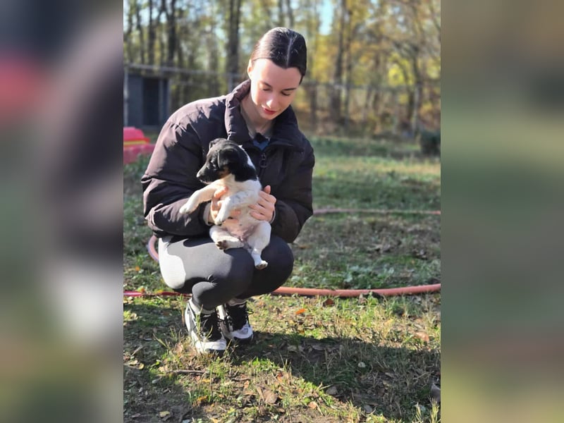 Avarka, geboren 27.09.2025 sucht ihren Platz