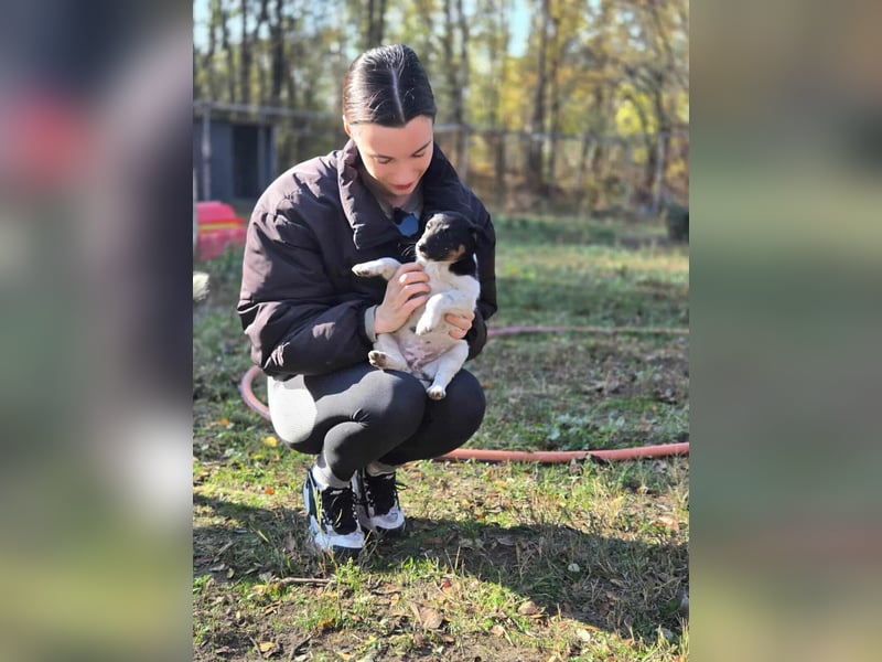 Avarka, geboren 27.09.2025 sucht ihren Platz