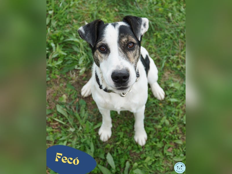Feco VA, freundlich und sehr lustig Feco VA, freundlich und sehr lustig