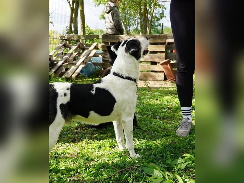 Feco VA, freundlich und sehr lustig