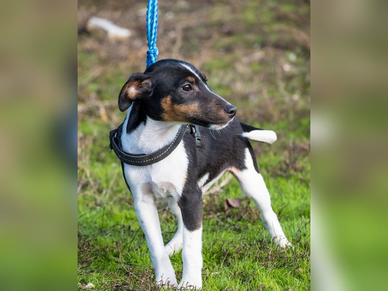 Flopp SI - aktiv, verspielt