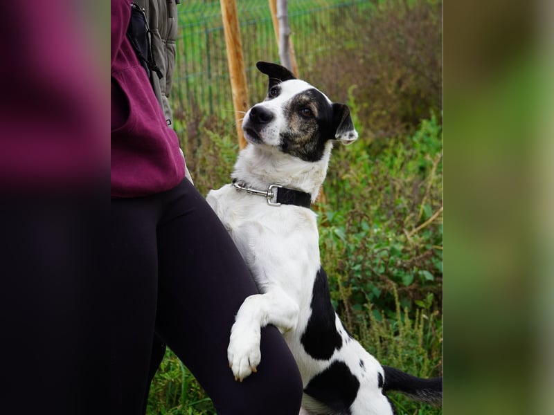 Feco VA, freundlich und sehr lustig