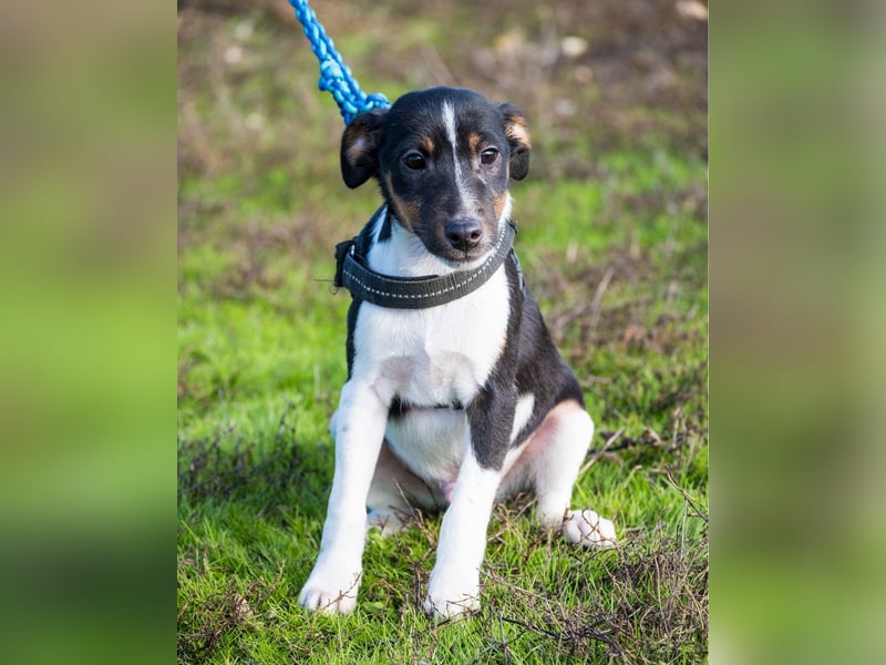 Flopp SI - aktiv, verspielt