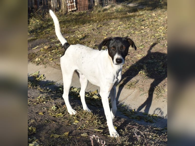 Móric - Wirbelwind voller Lebensfreude