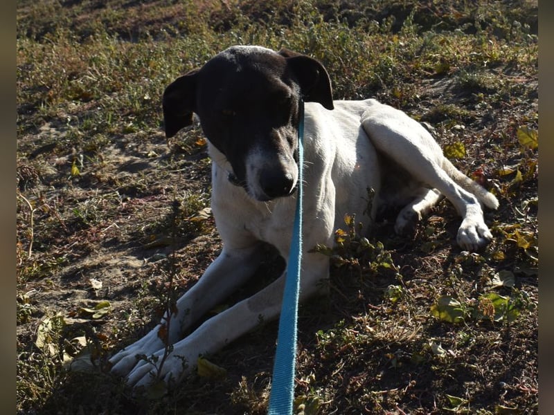 Móric - Wirbelwind voller Lebensfreude