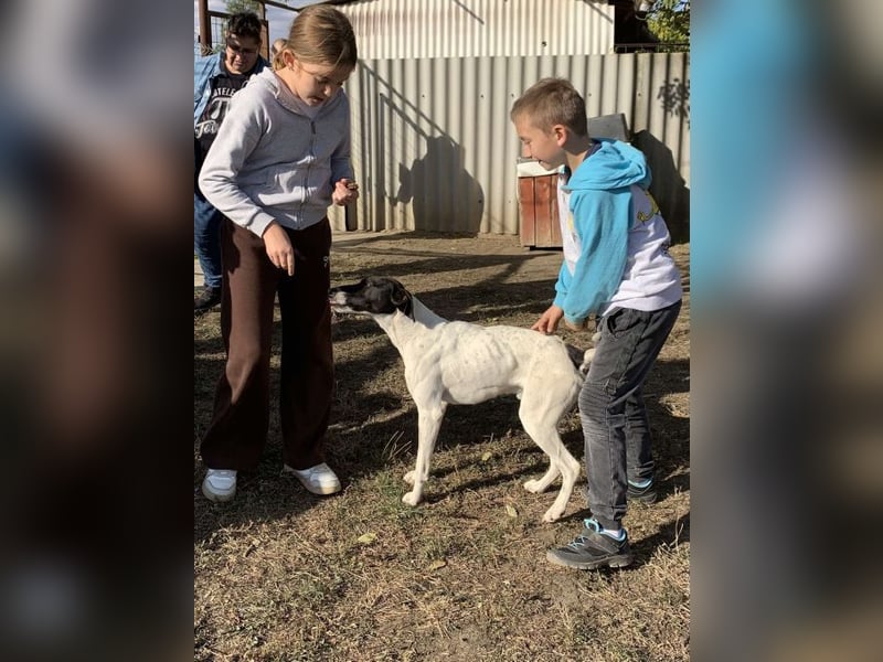 Móric - Wirbelwind voller Lebensfreude