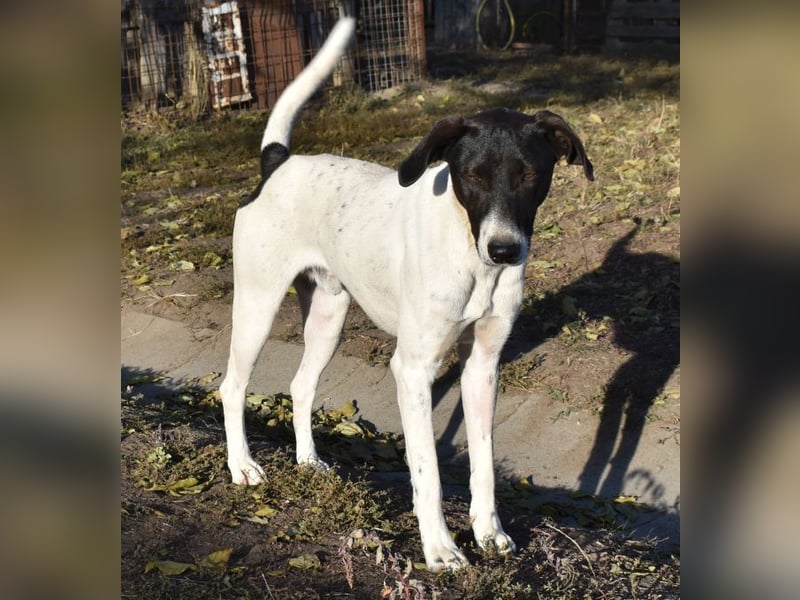 Móric - Wirbelwind voller Lebensfreude