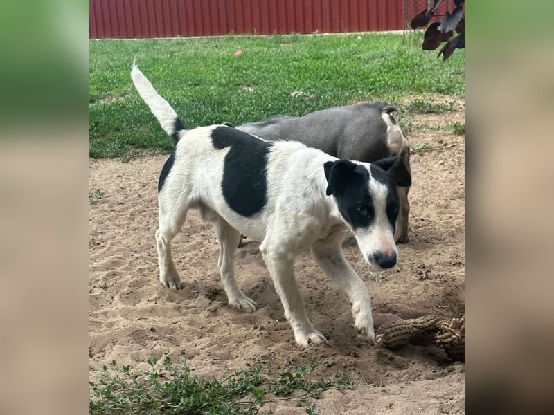 Maxi von kettenlos