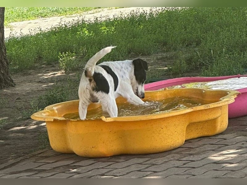 Maxi von kettenlos
