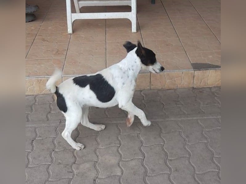 Maxi von kettenlos