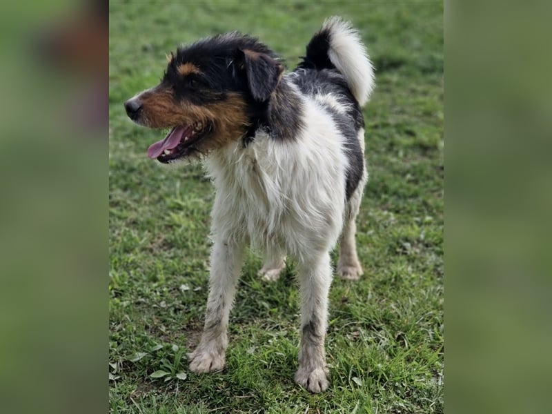 Roman ein verspielter Schatz