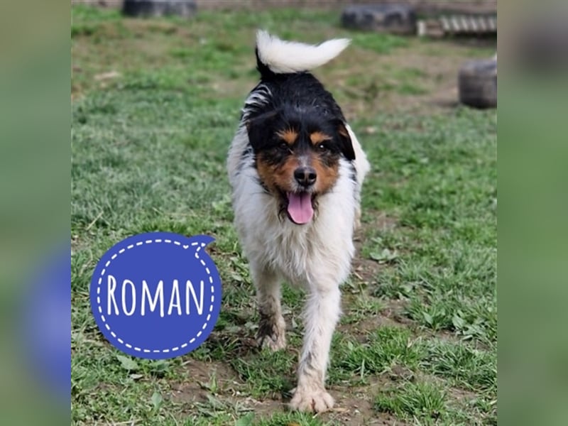Roman ein verspielter Schatz